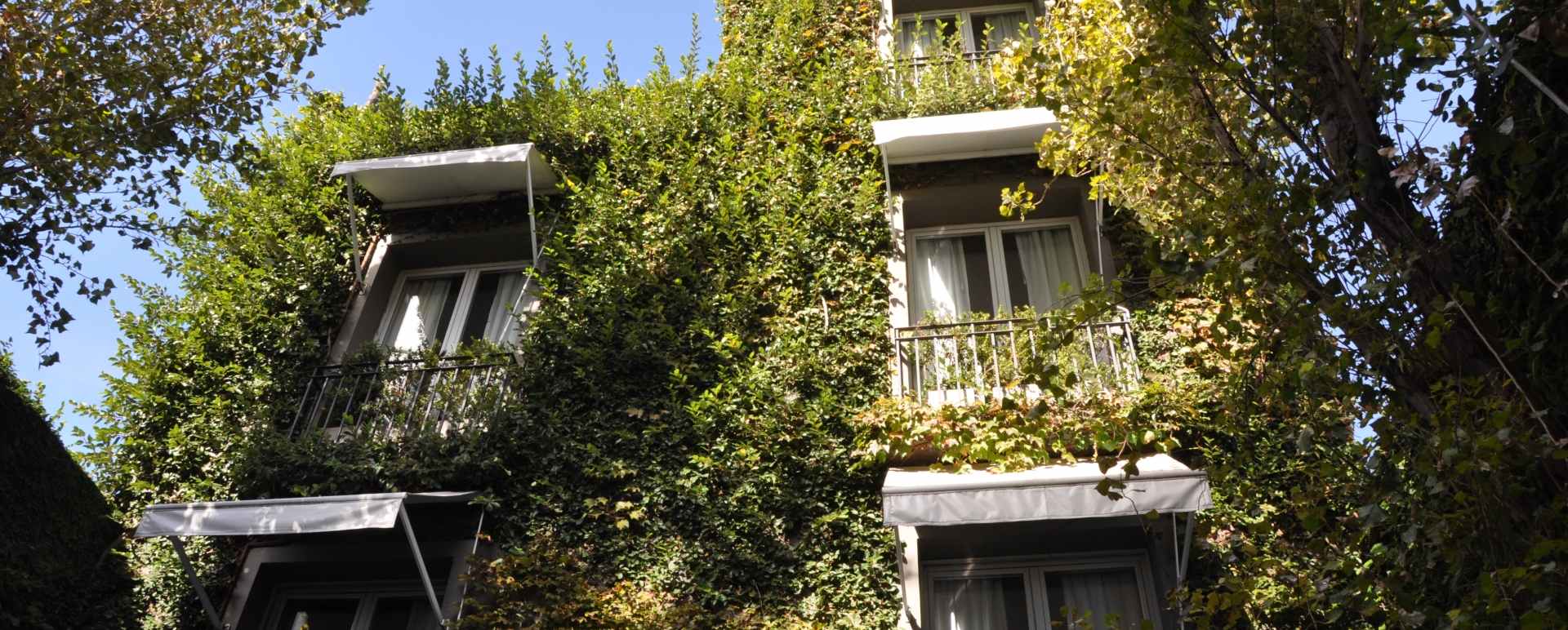 Leafy exterior 