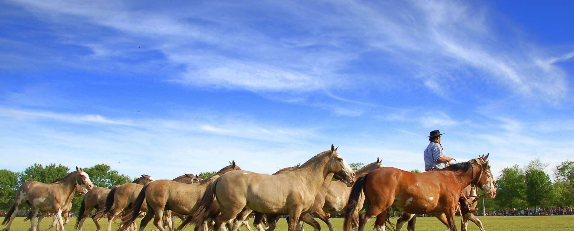 Pampas Gaucho 