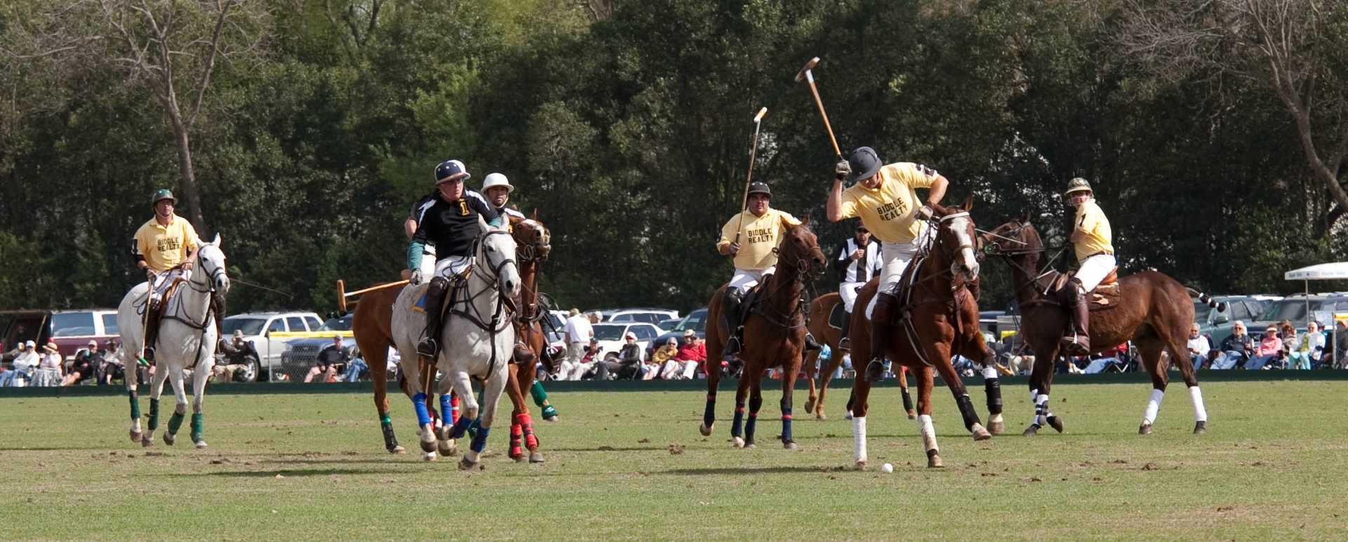 Polo 