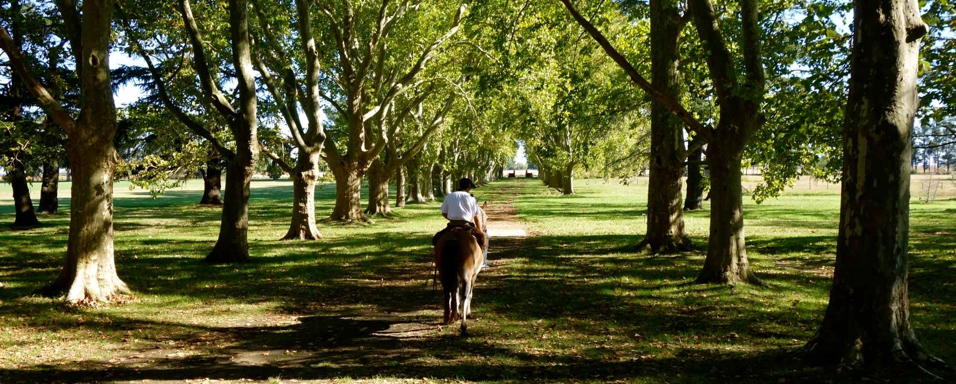 Horse riding 