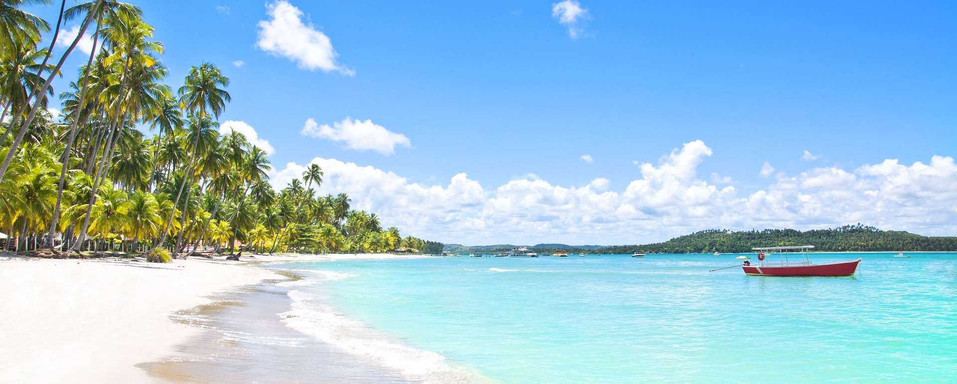 Beach - Brazil 