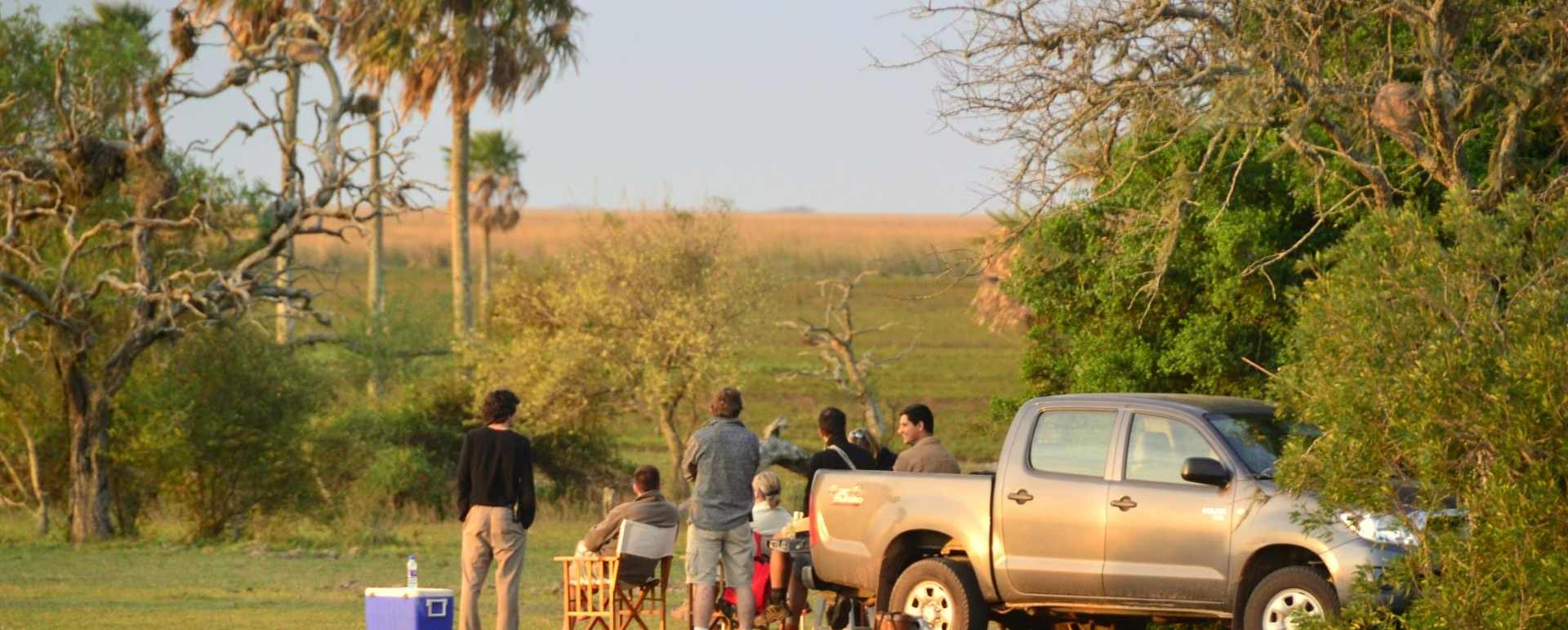 Ibera Wetlands 