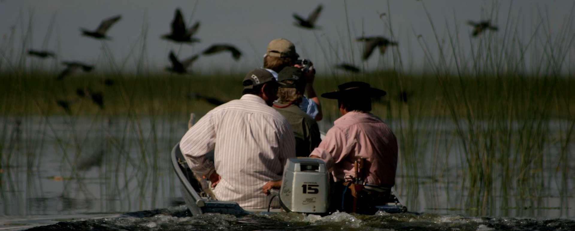 Ibera Wetlands 