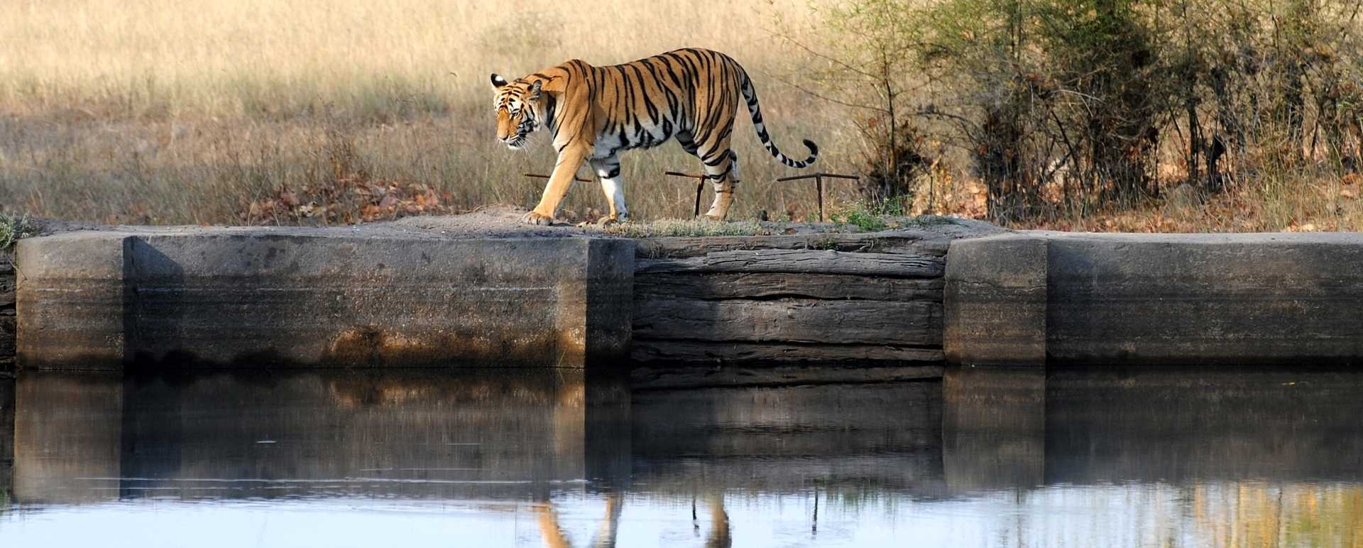Central India