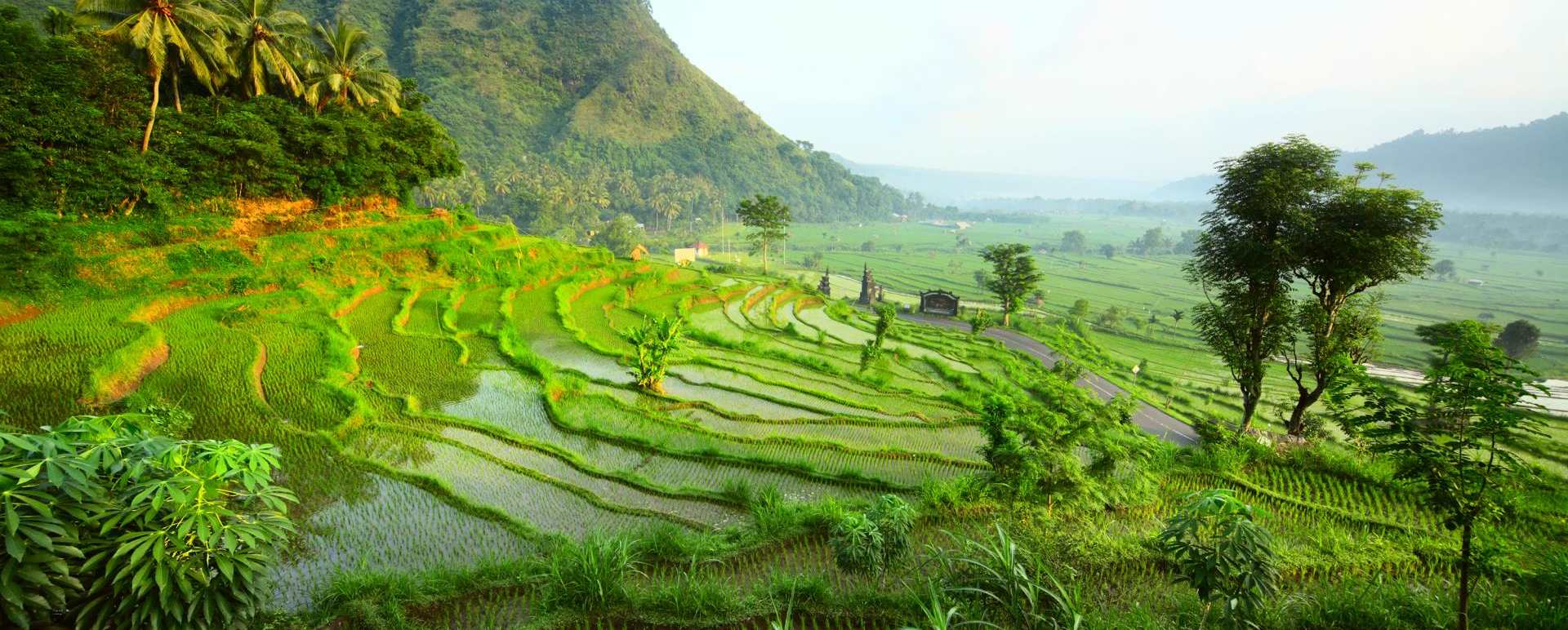 Bali