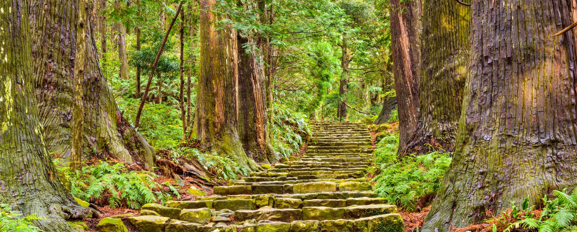 Mount Koya and Kumano Kodo