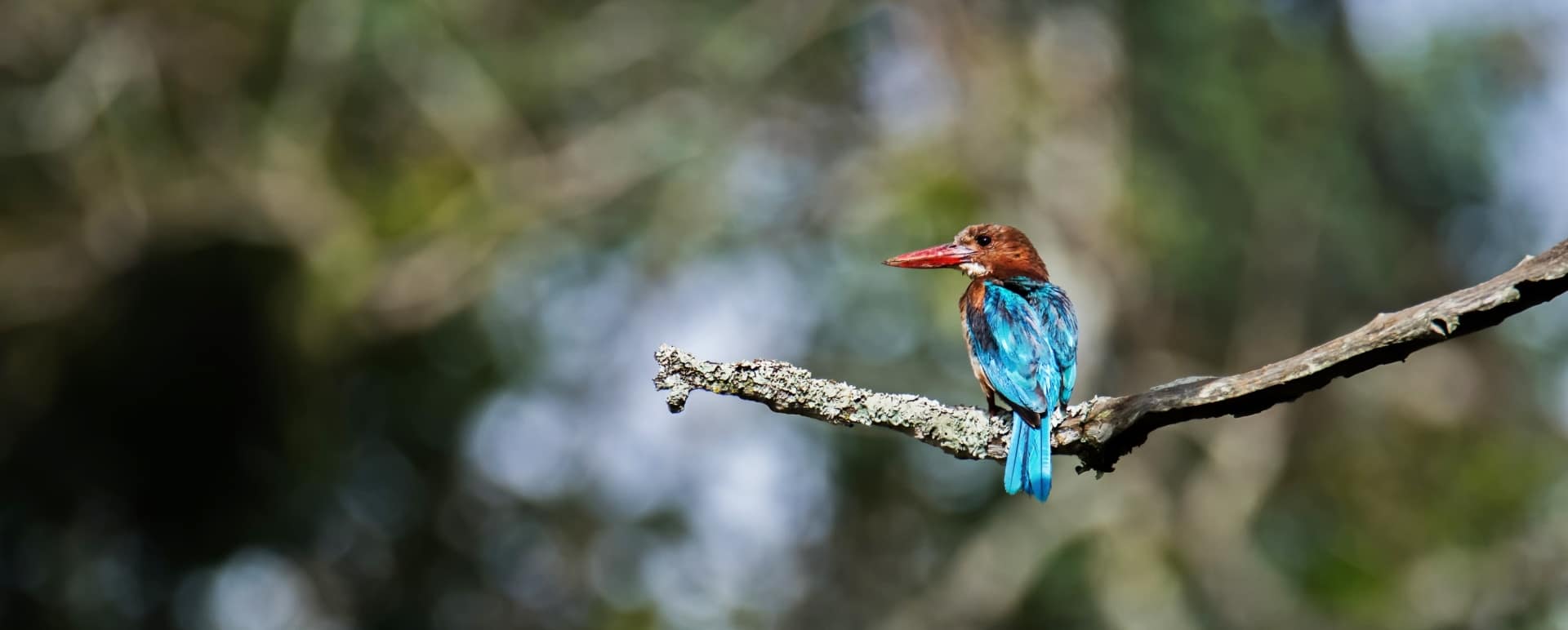 Central Nepal