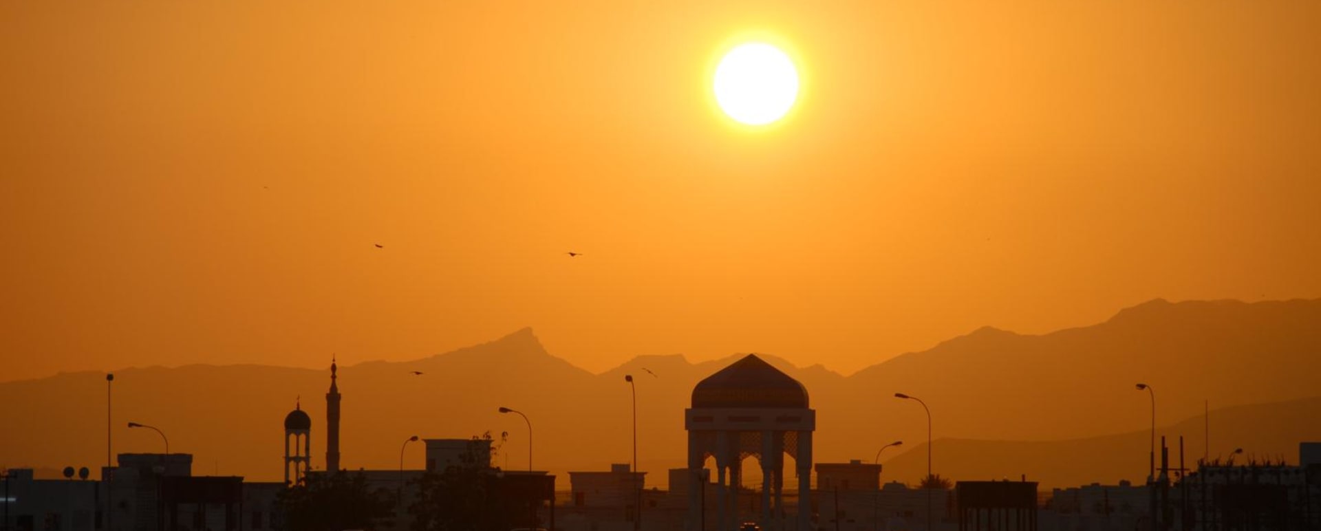 Muscat