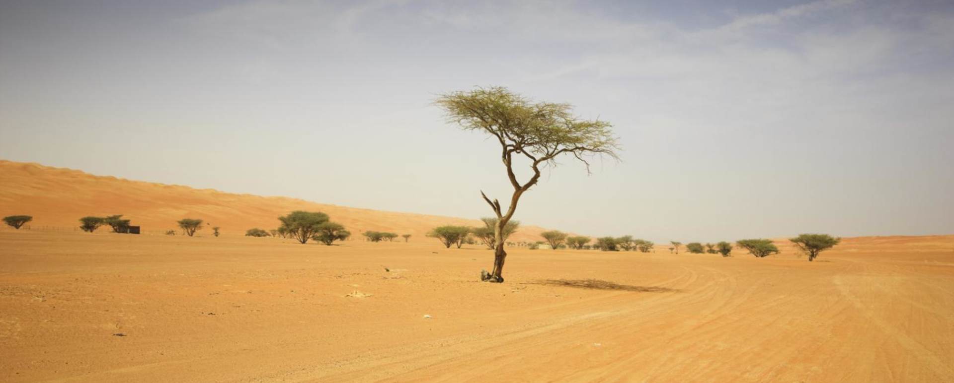 Wahiba Sands