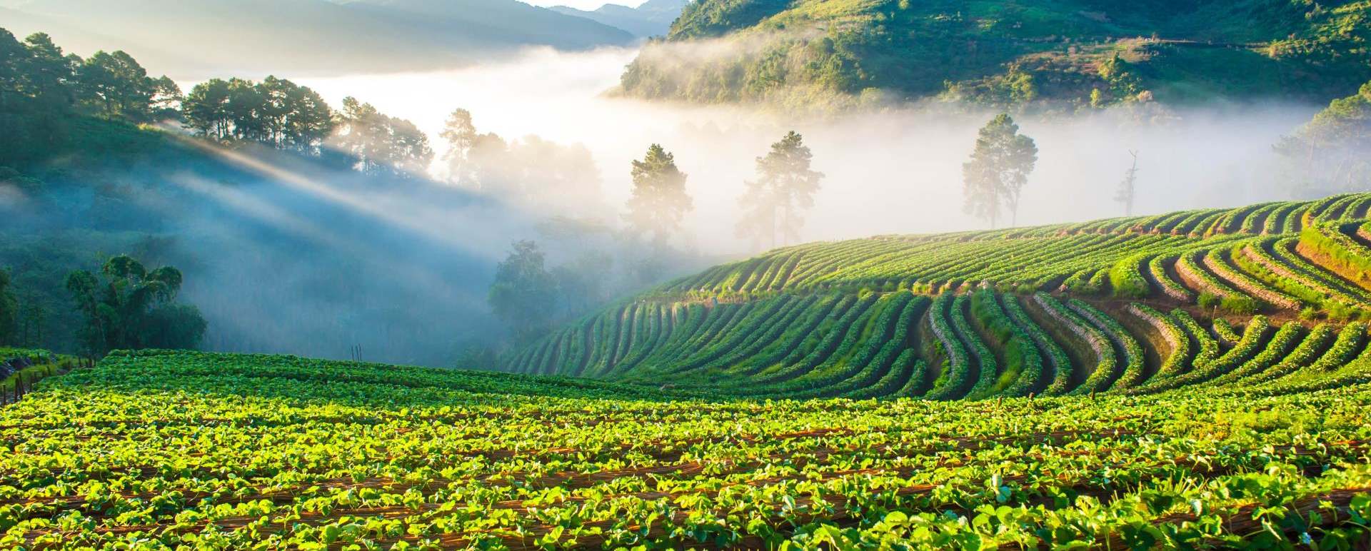 Northern Thailand