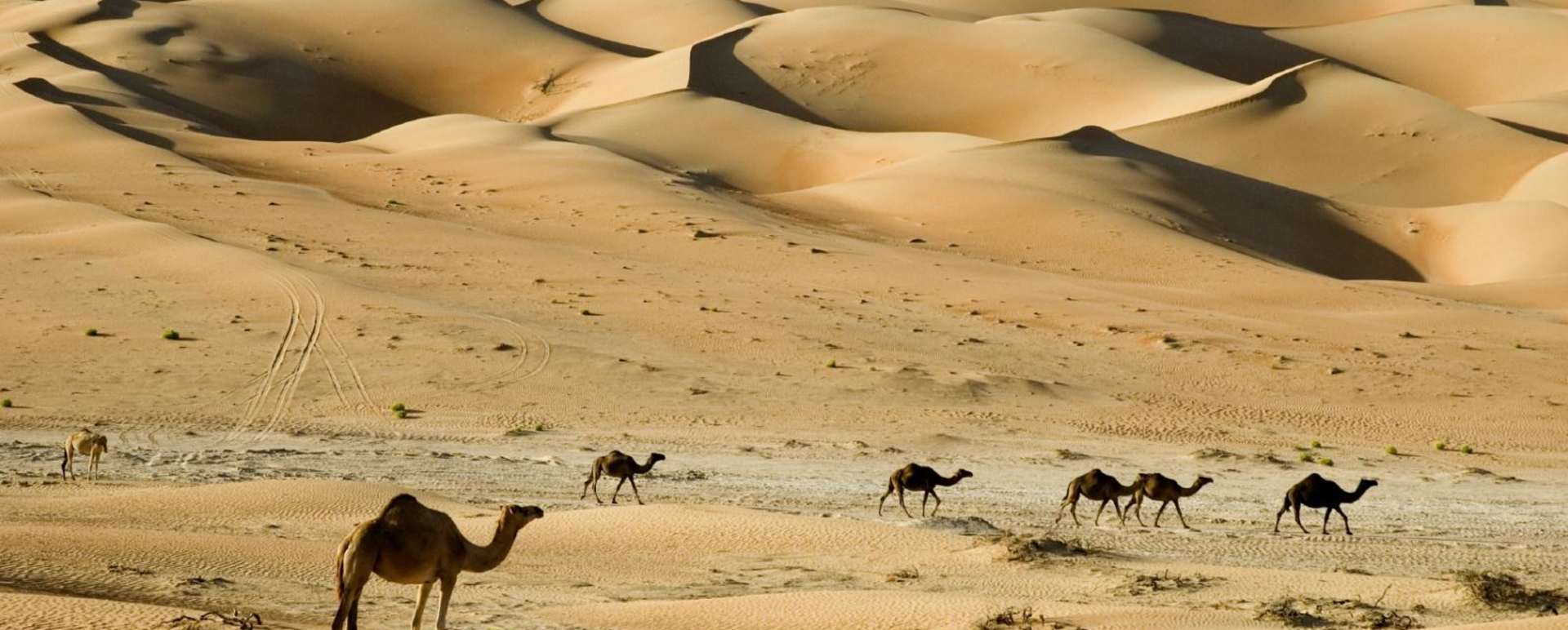 Desert