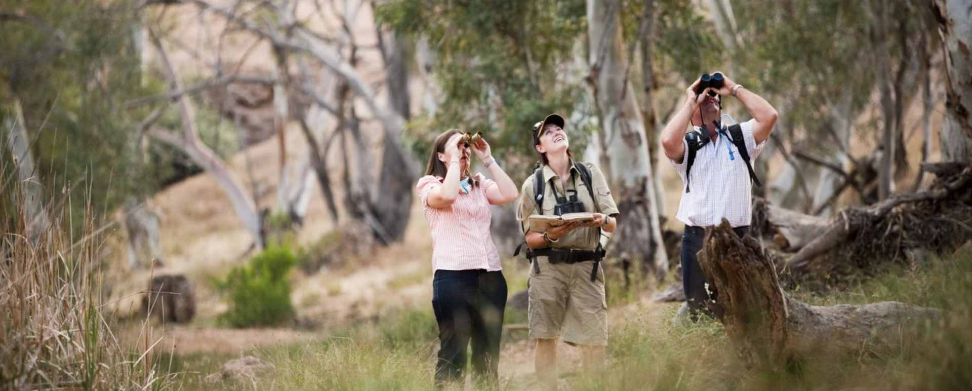 Bird watching - Arkaba
