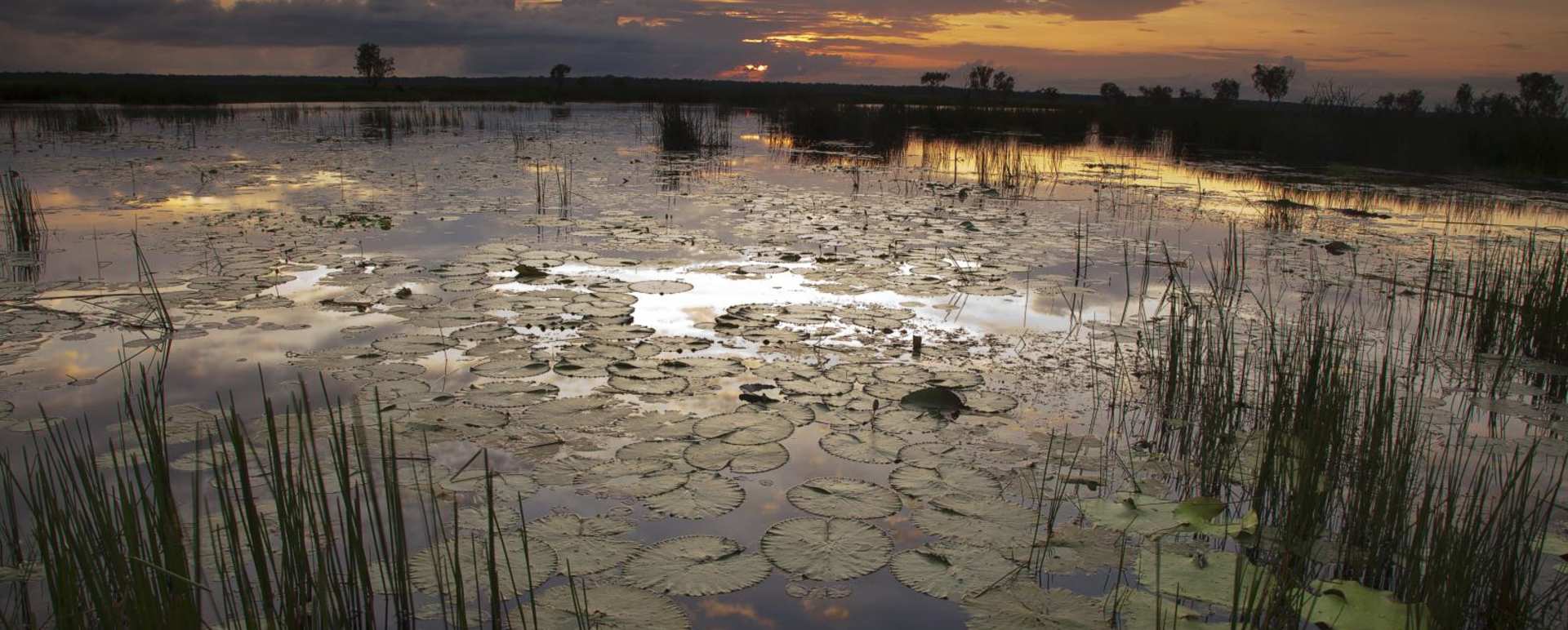 Bamurru Plains