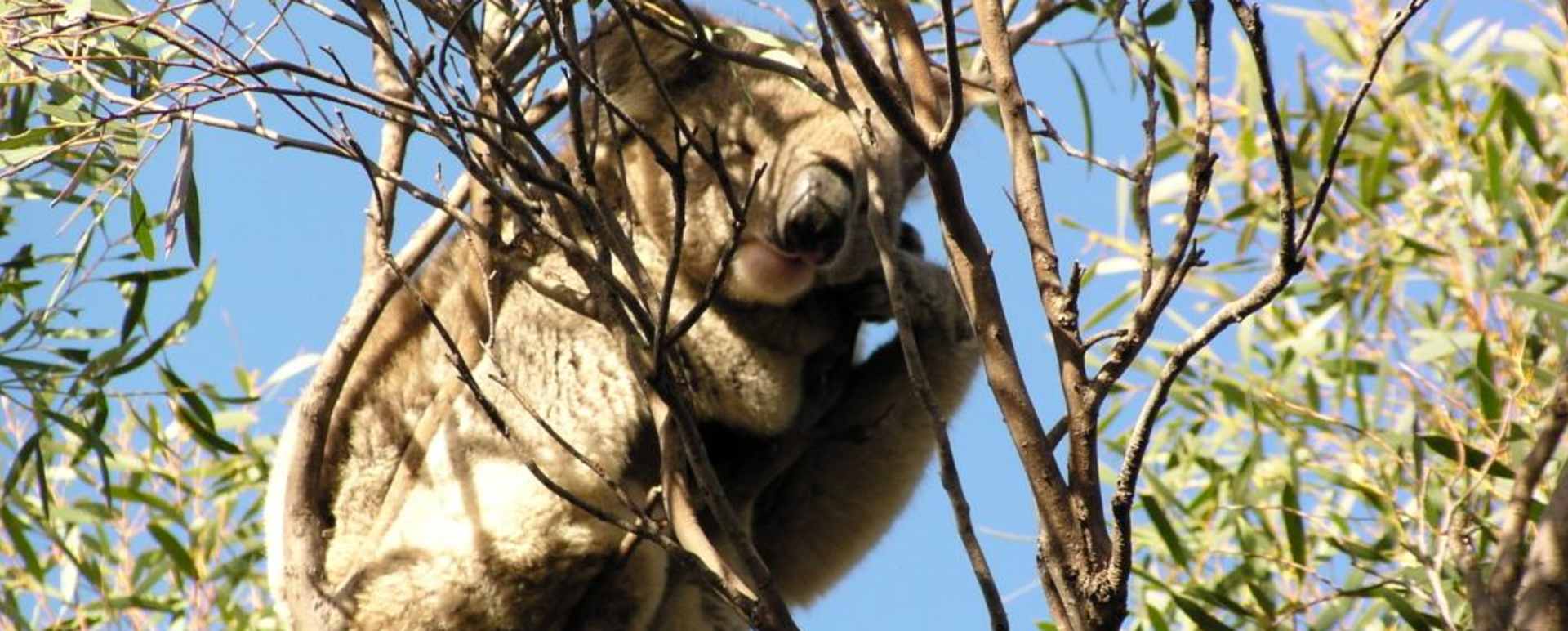 Explore New South Wales