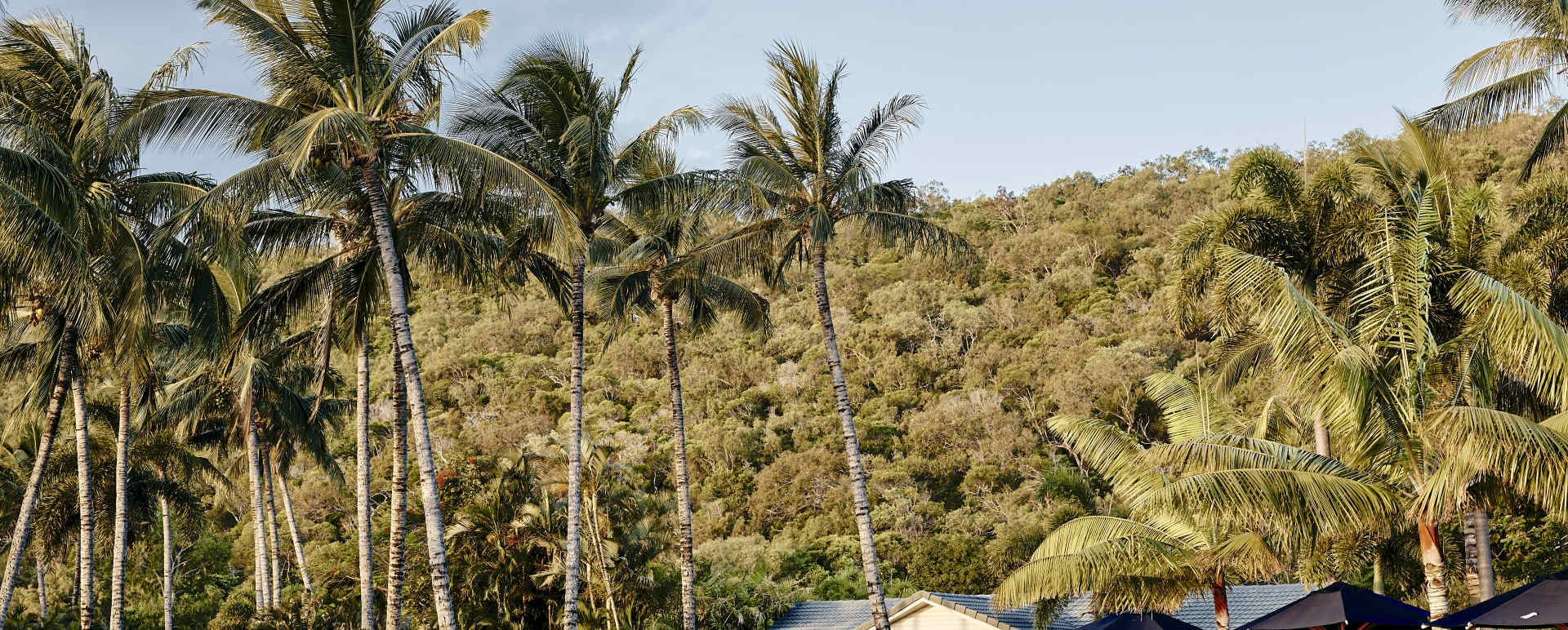 Infinity Pool - Orpheus Island 