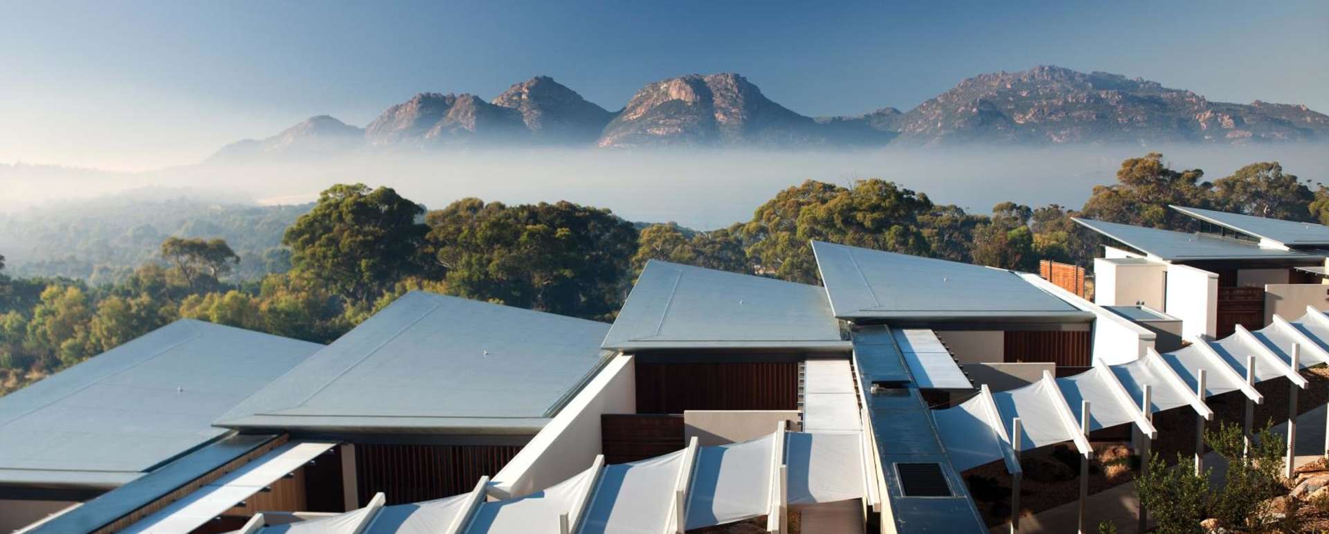 Suites - Saffire