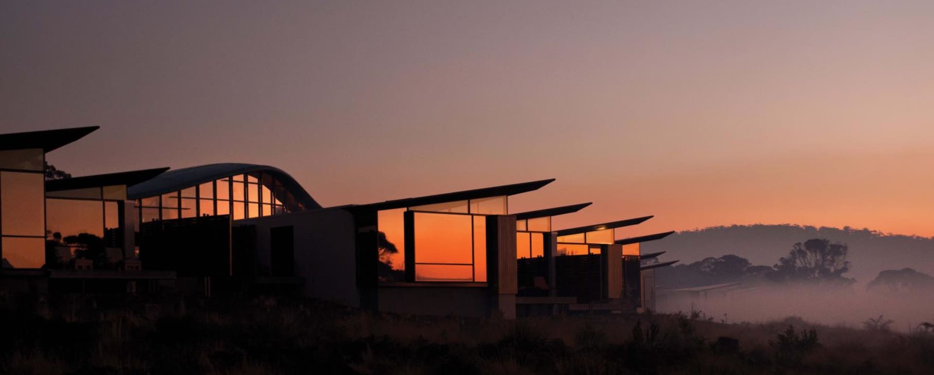Sunset - Saffire