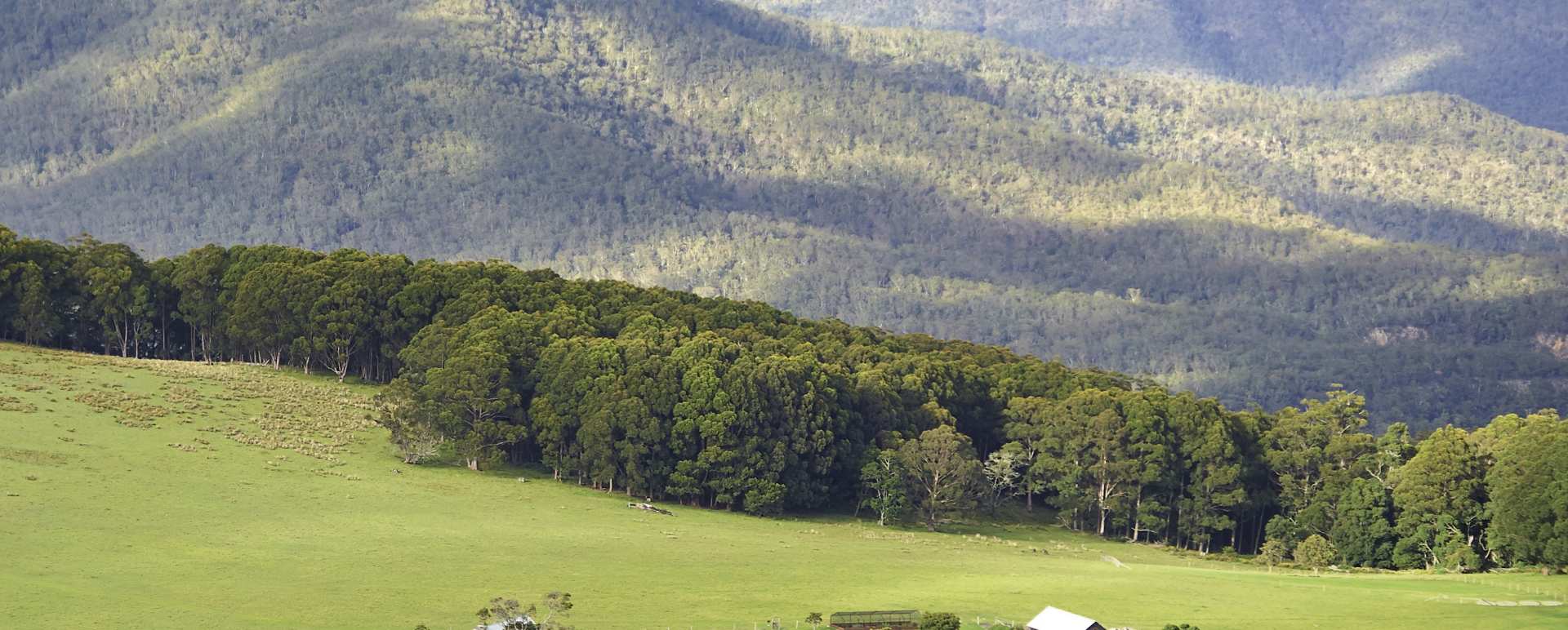 Aerial - Spicers Peak Lodge 