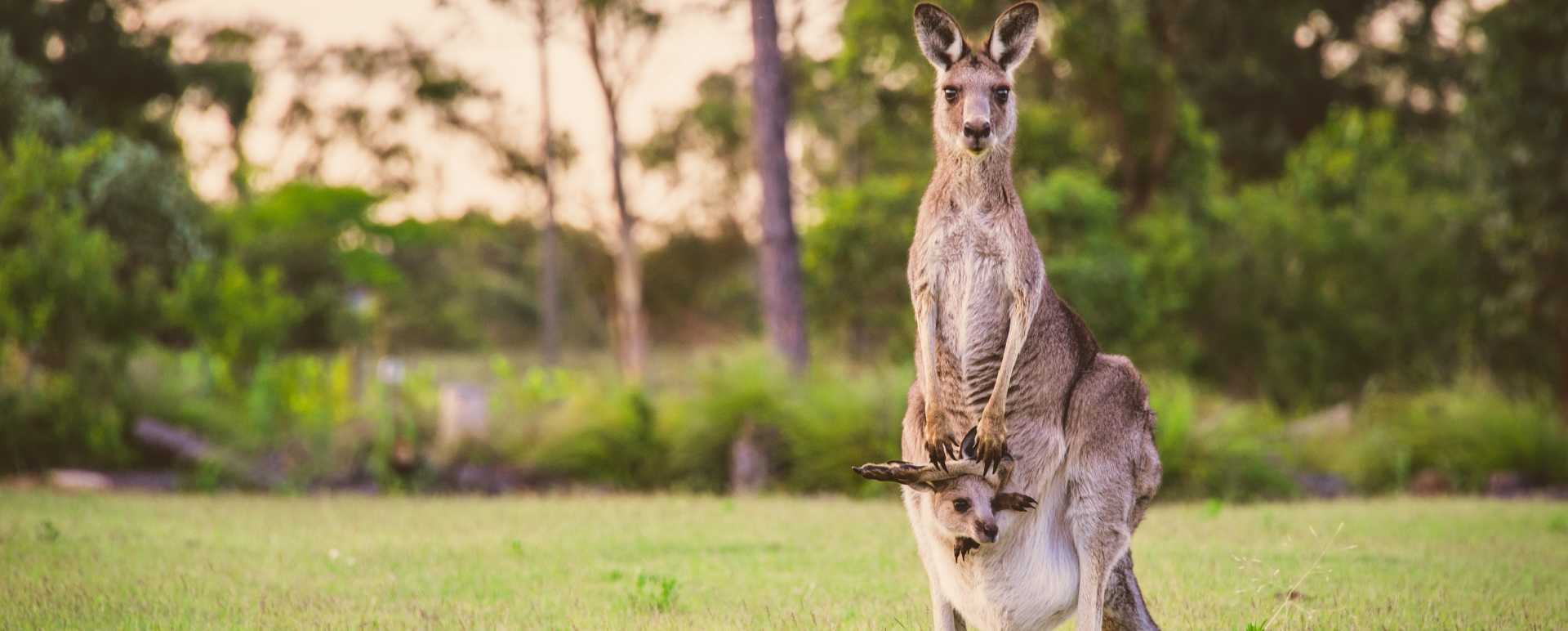 Family holidays to Australia