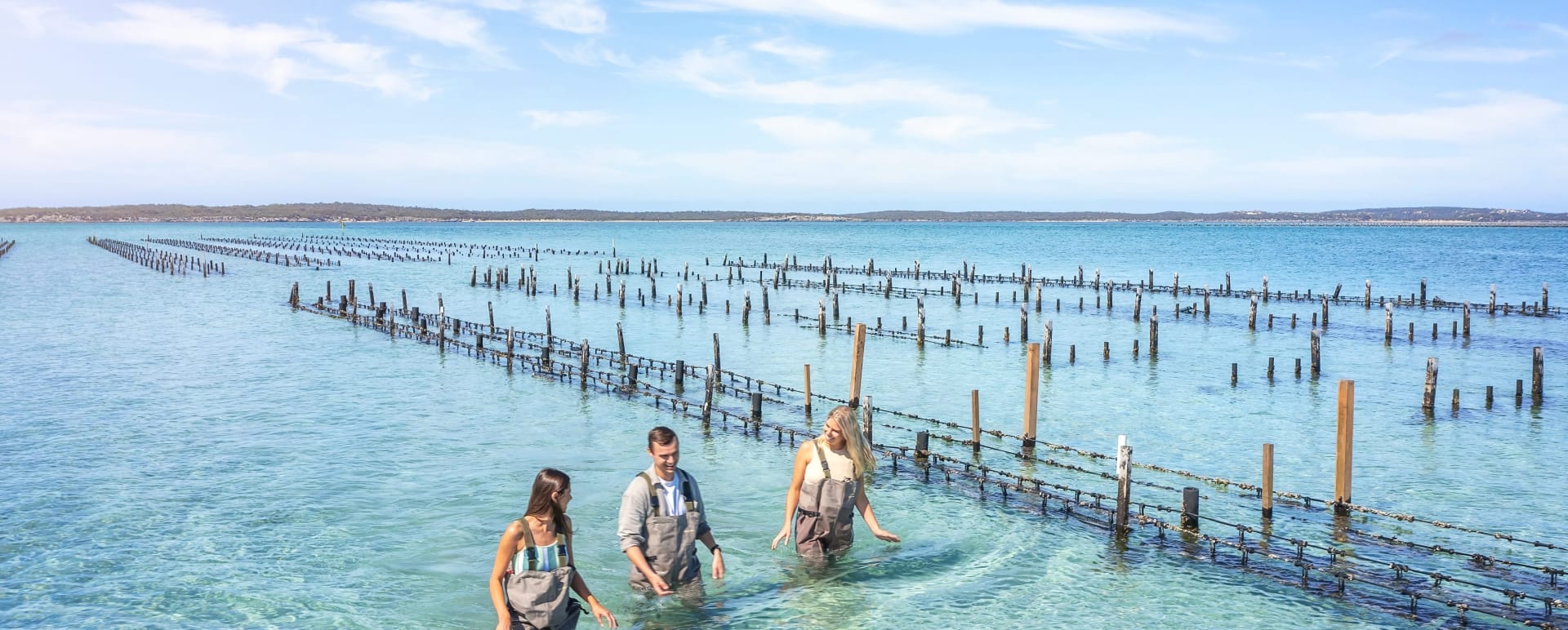Coffin Bay Discovery