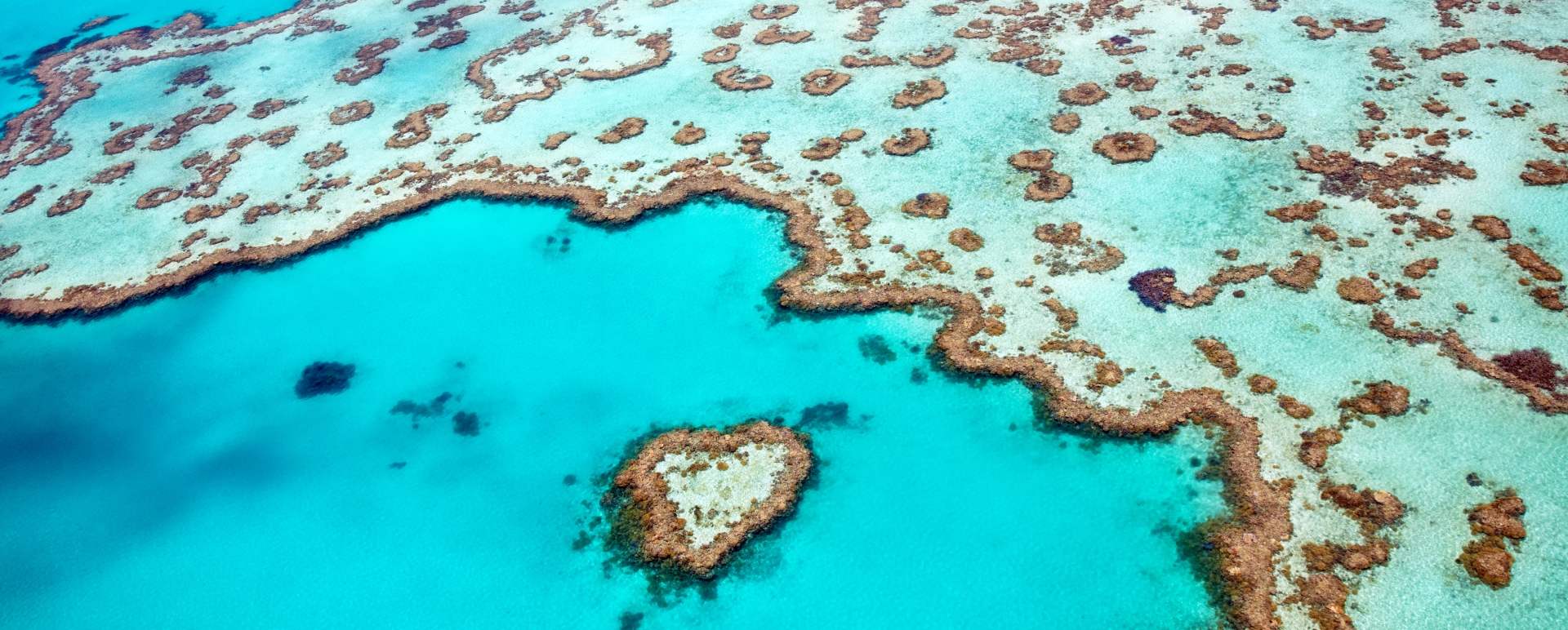 Heart Reef - The Whitsundays