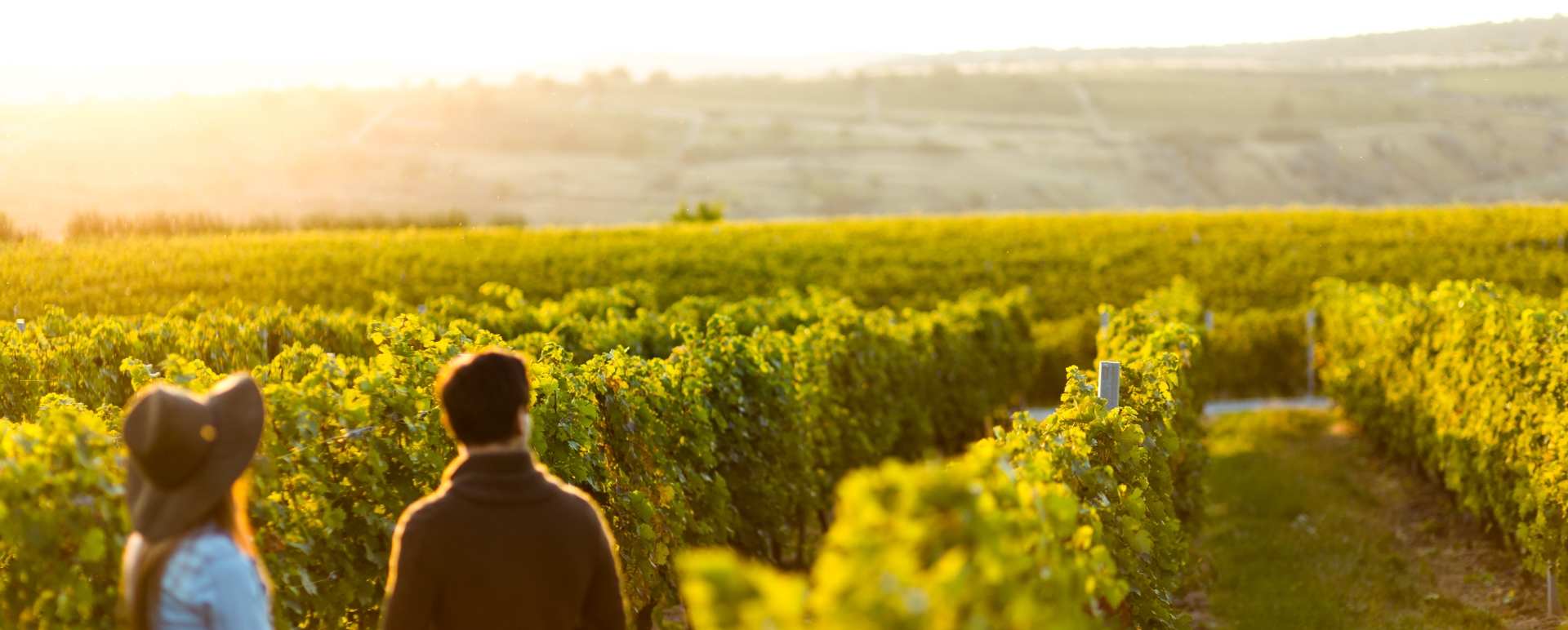 Couple in vineyard