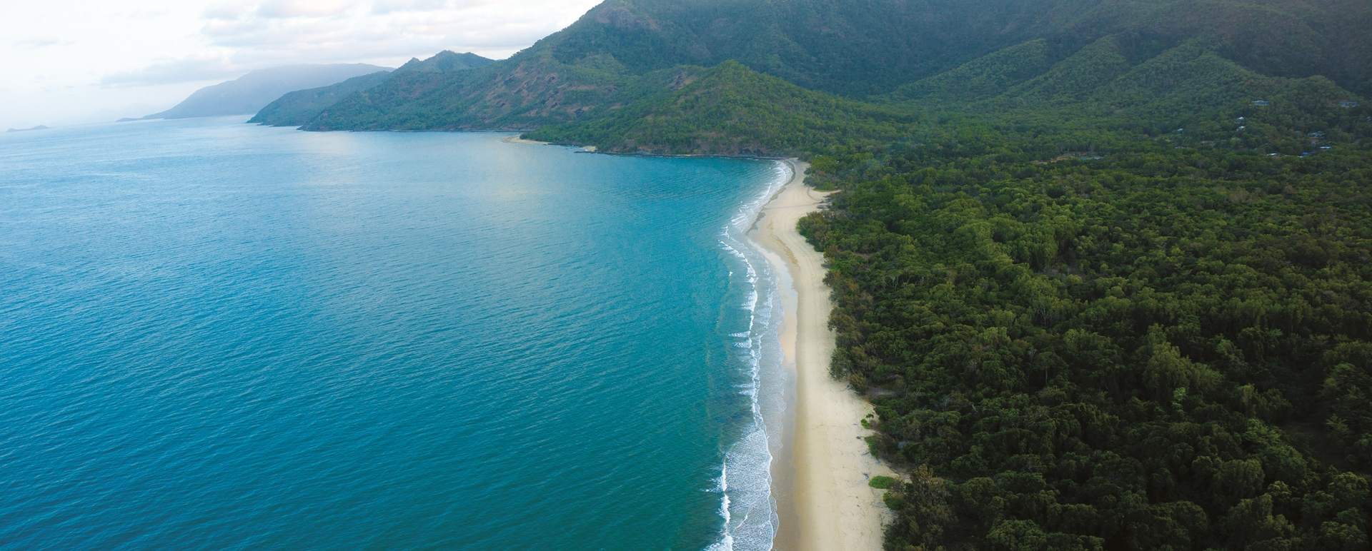 Where the rainforest meets the reef - 