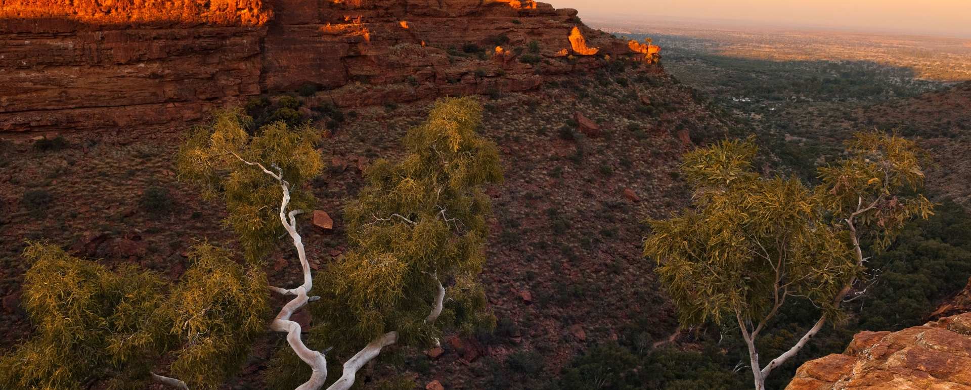 The Red Centre - 