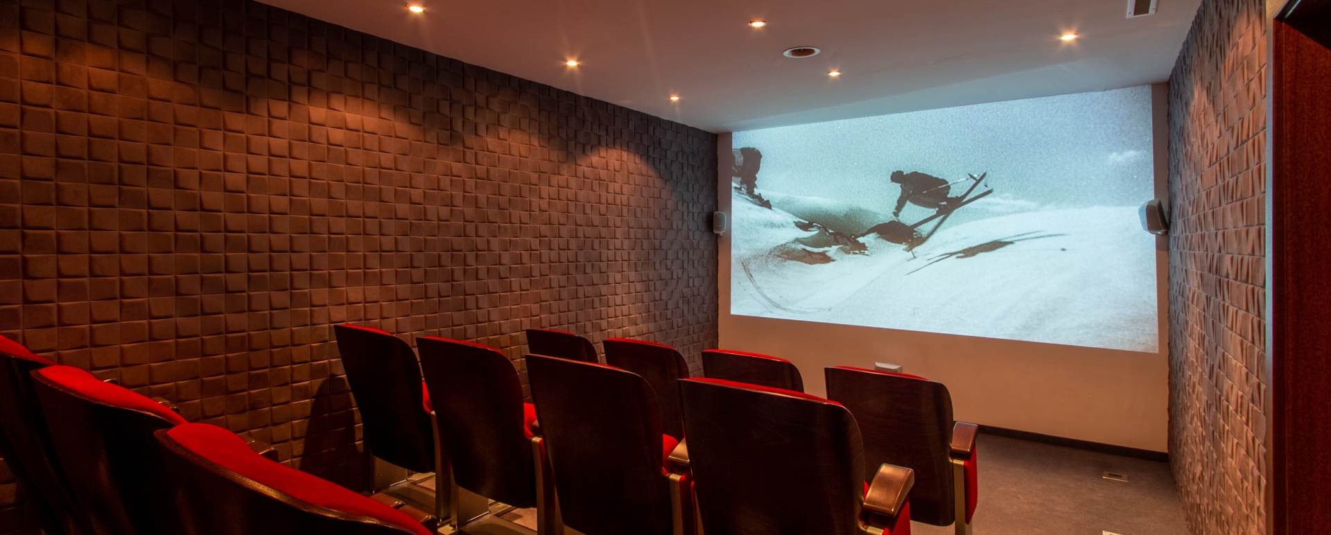 Cinema - Chalet Artemis 
