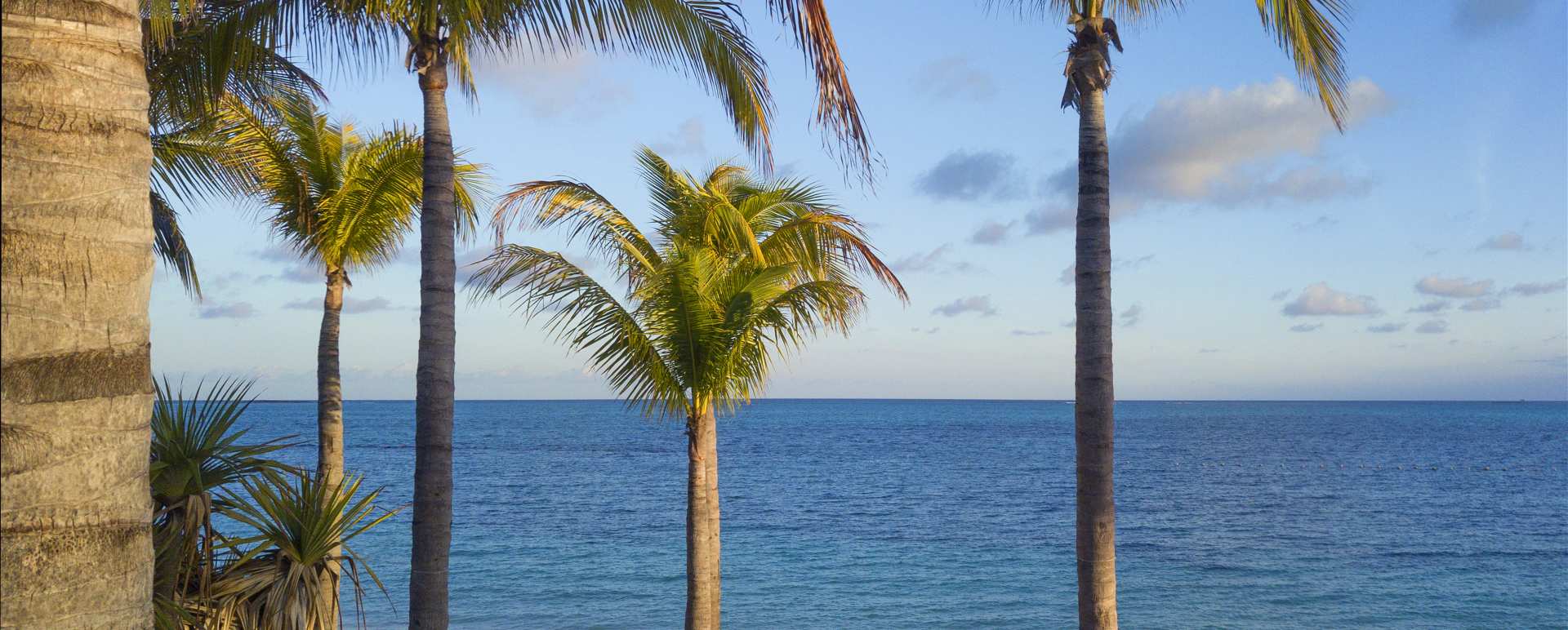Rosewood Beach 2 