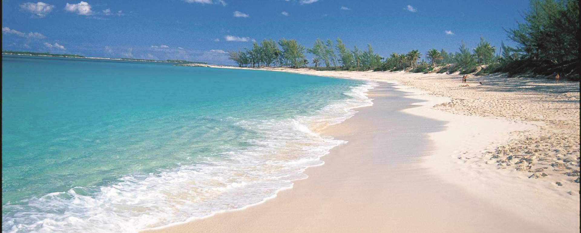 Beach - The Ocean Club