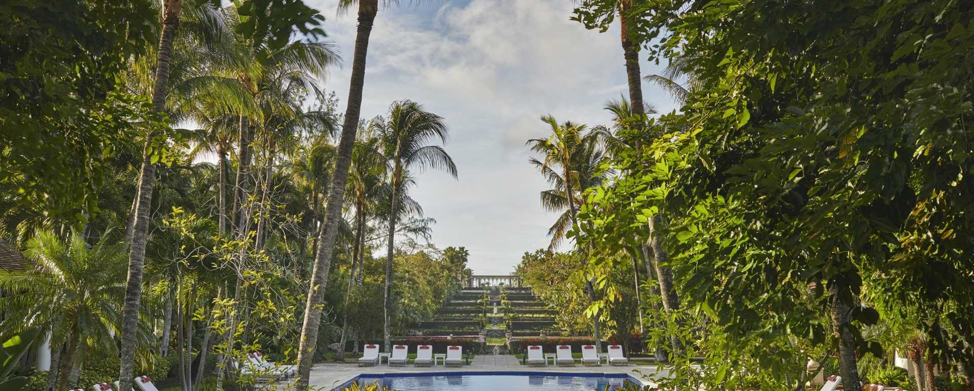 Pool - The Ocean Club  