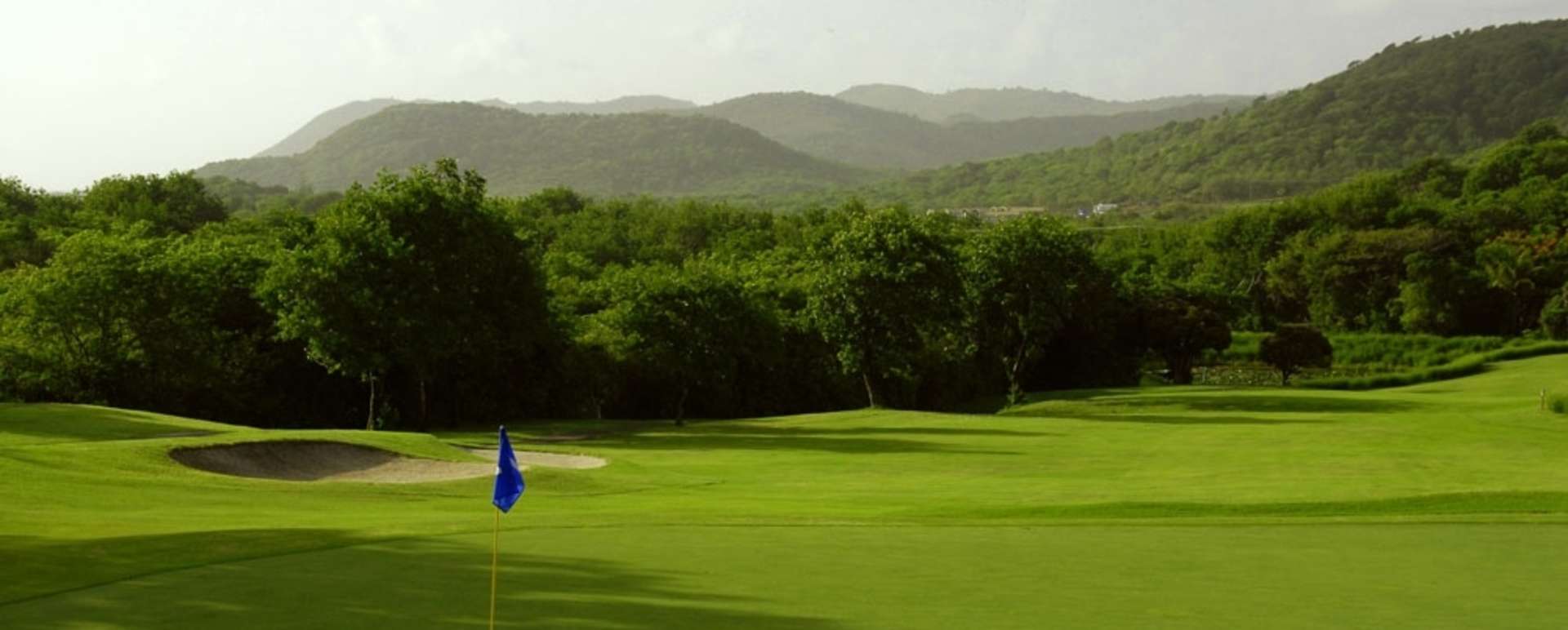 Golf Course 5 