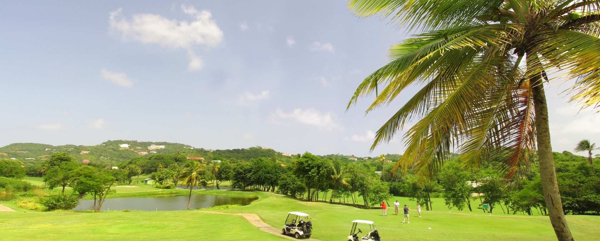 Golf Course 
