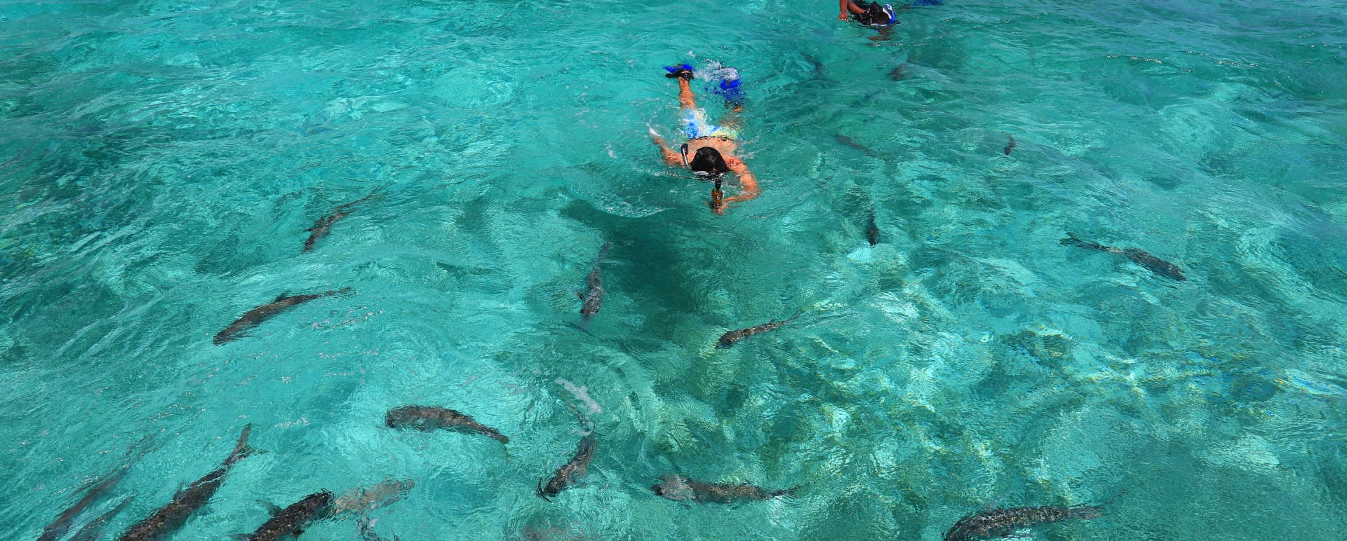 Snorkelling - Cayo Espanto