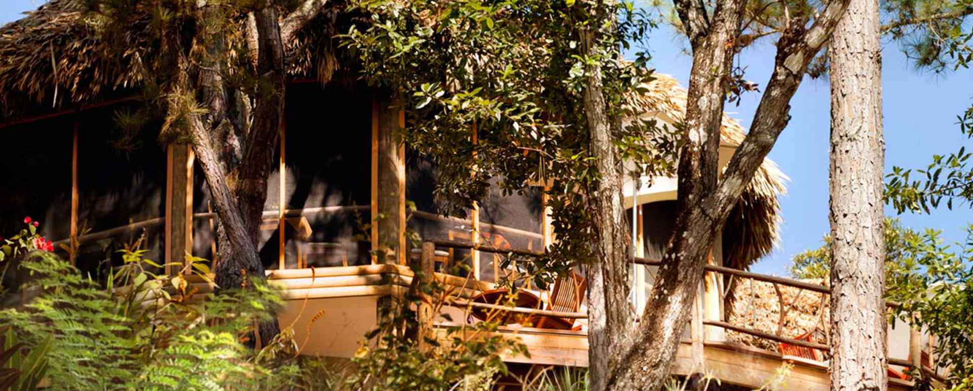 Waterfall Suite - Gaia River Lodge