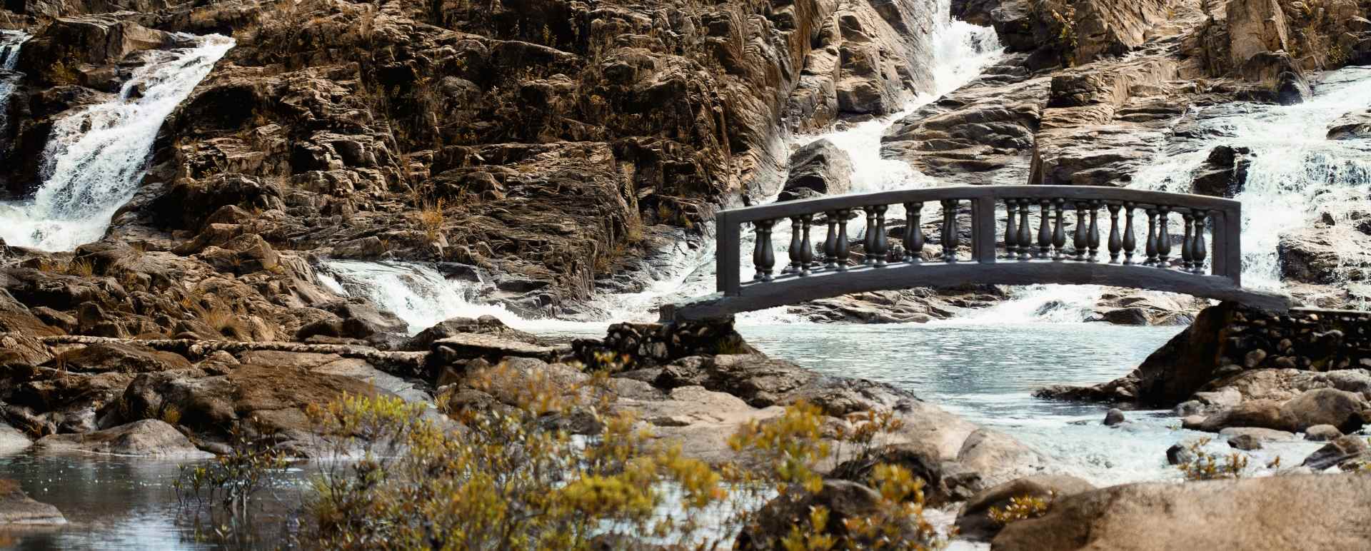 Gardens - Gaia River Lodge