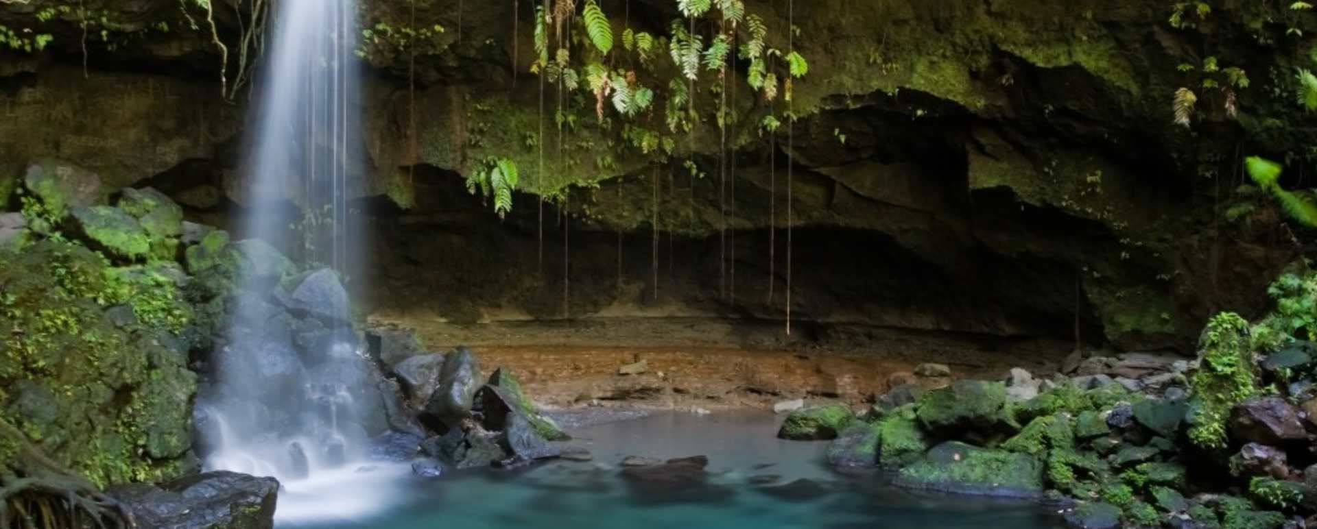 Visit Cockscomb Jaguar Reserve