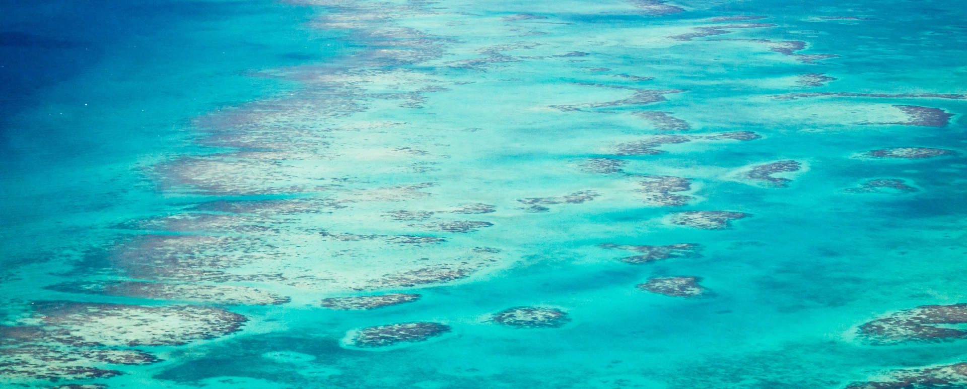 Barrier Reef 