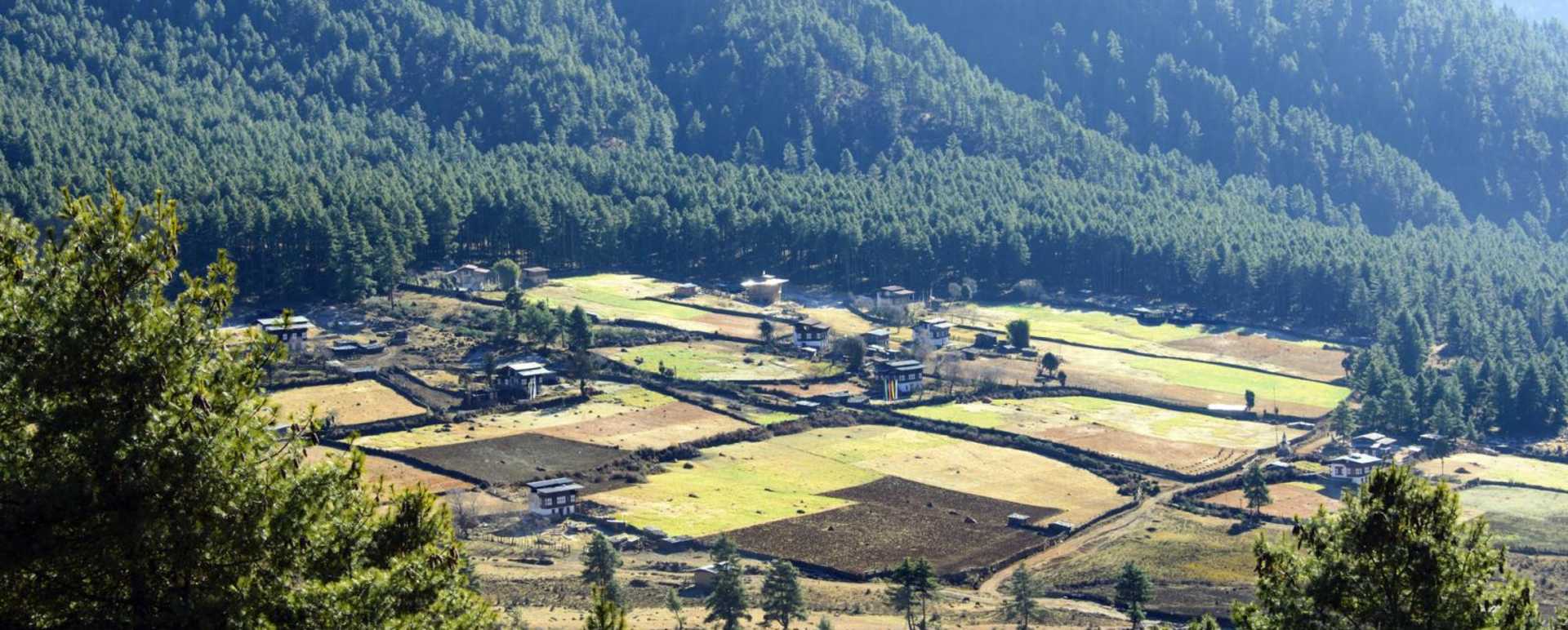Valley View - Amankora Gangtey