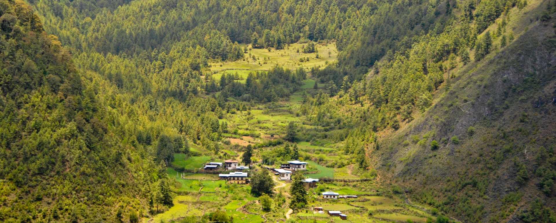 Day Trip to Chelela Pass and Hike Kila Goenpa