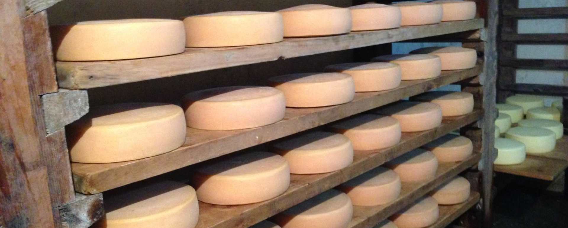 The Red Panda Brewery and Cheese Factory