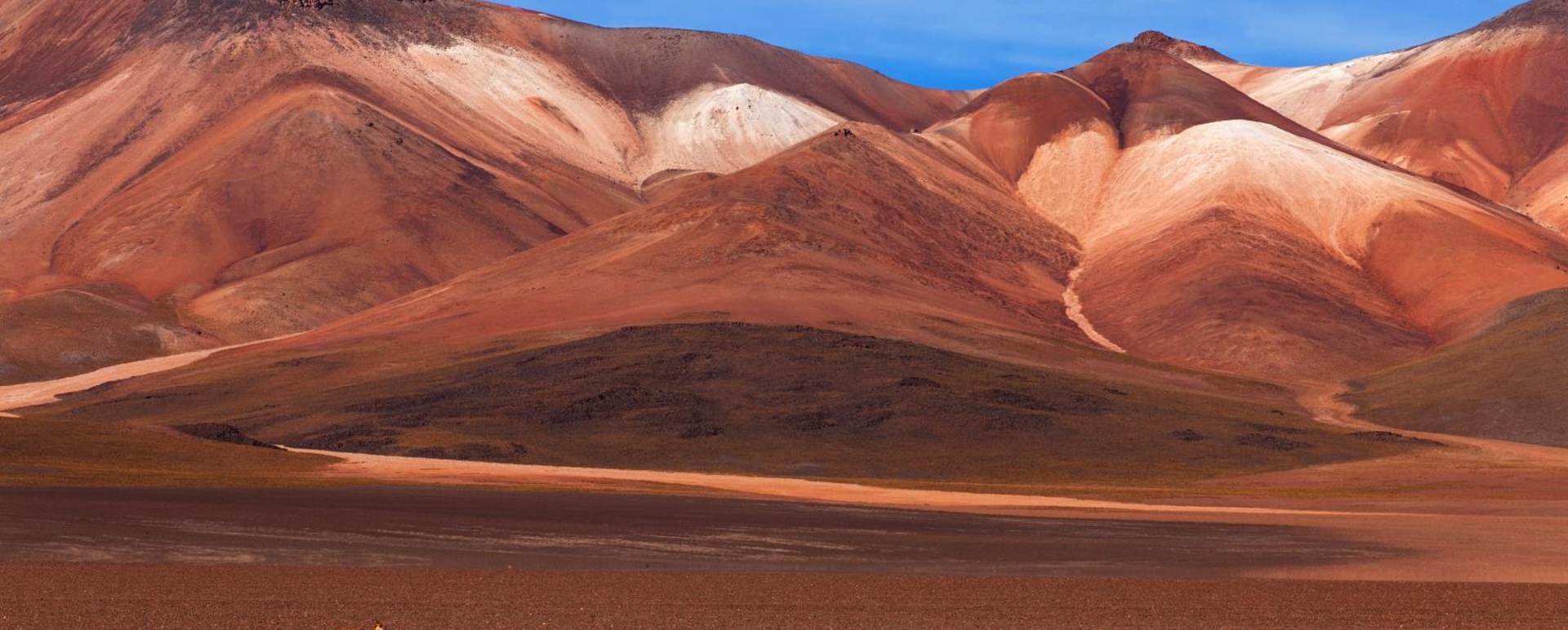 Desierto de Salvador Dali - High Adventure in the Bolivian Desert