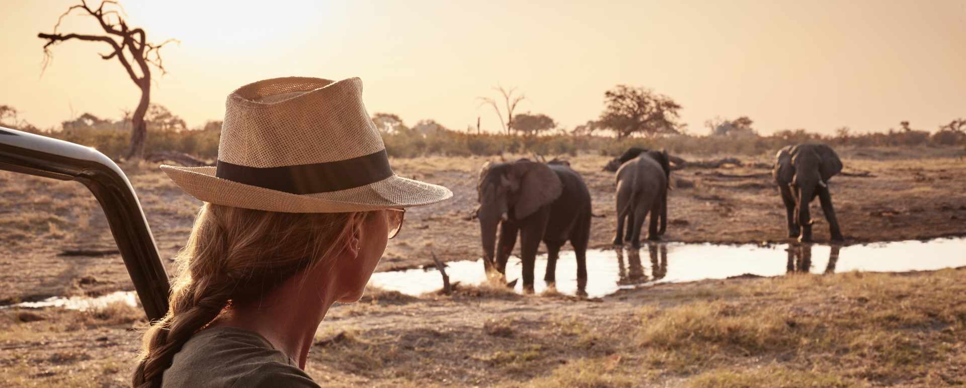 Game drive 