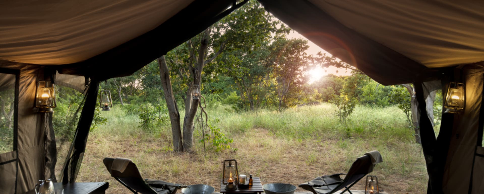 Tent View 