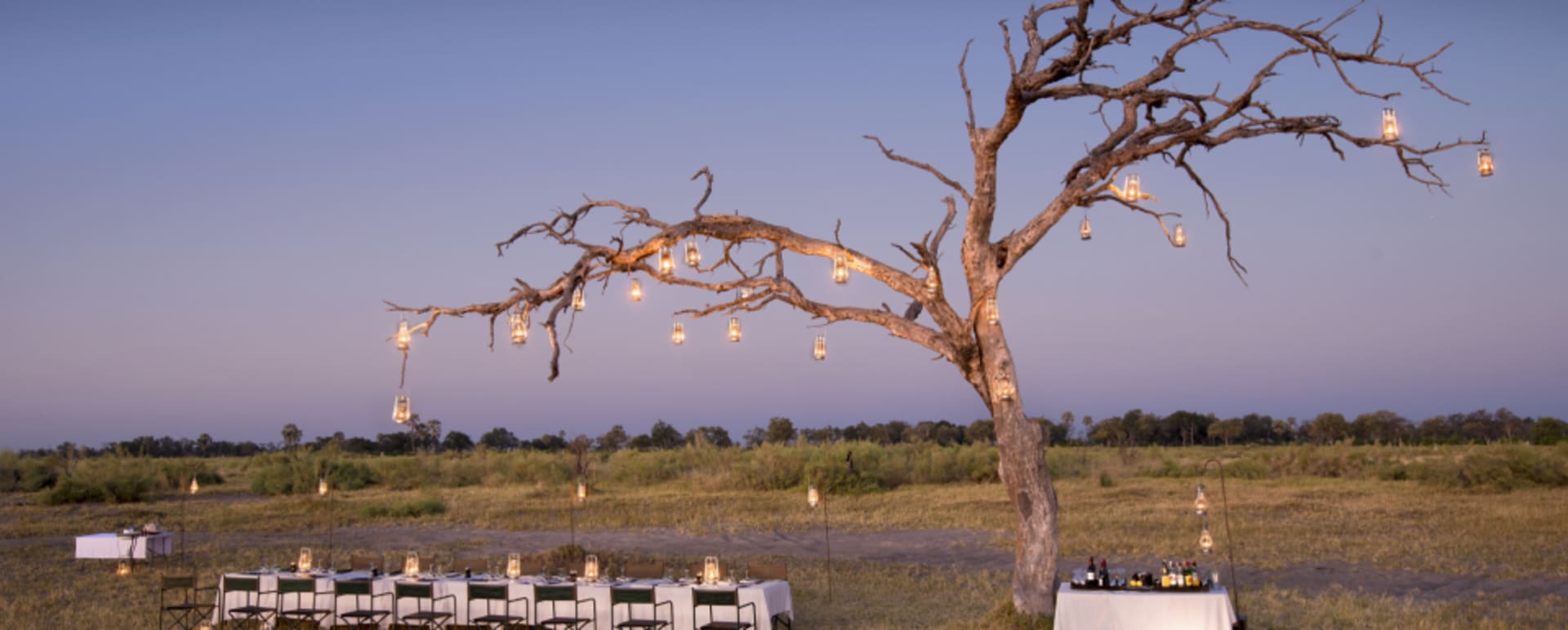 Outside dinner 