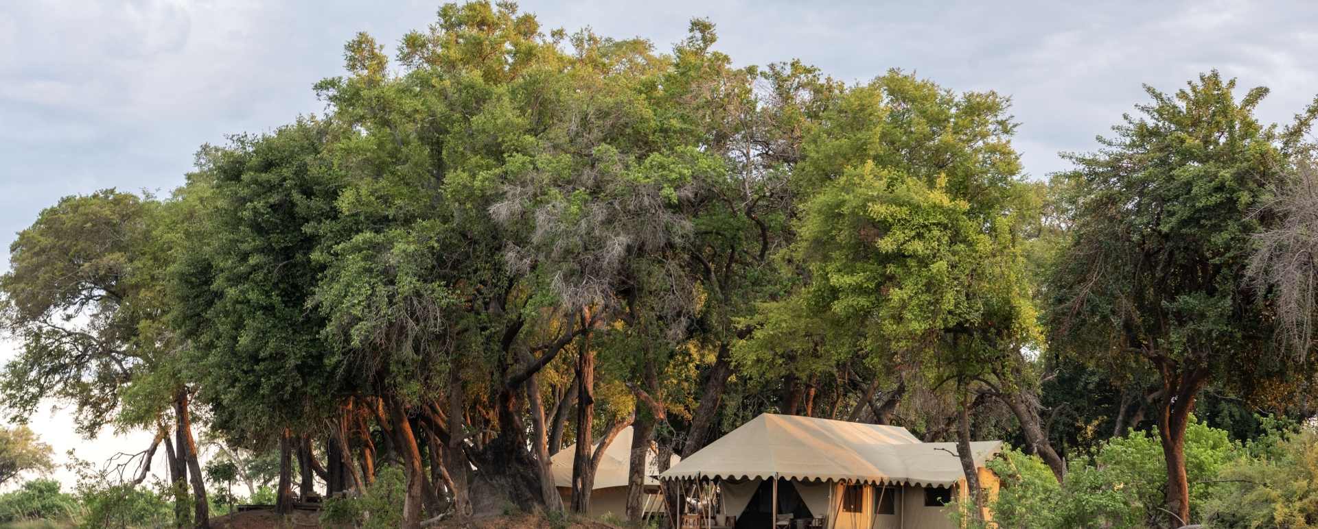 Guest tent exterior 