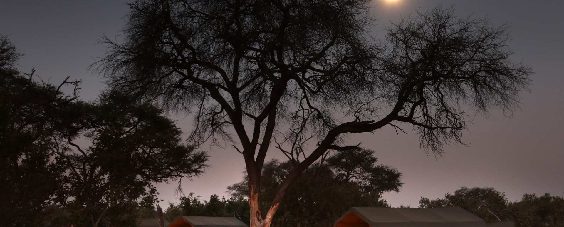 Evening in camp - Moremi