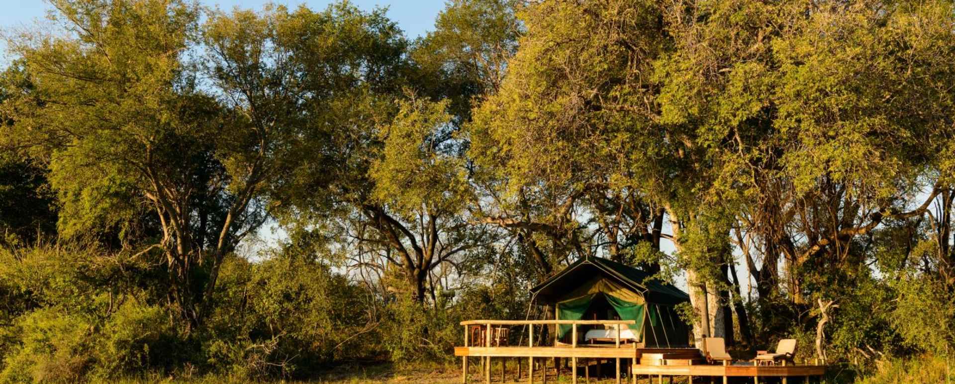 Tent - Macatoo Camp