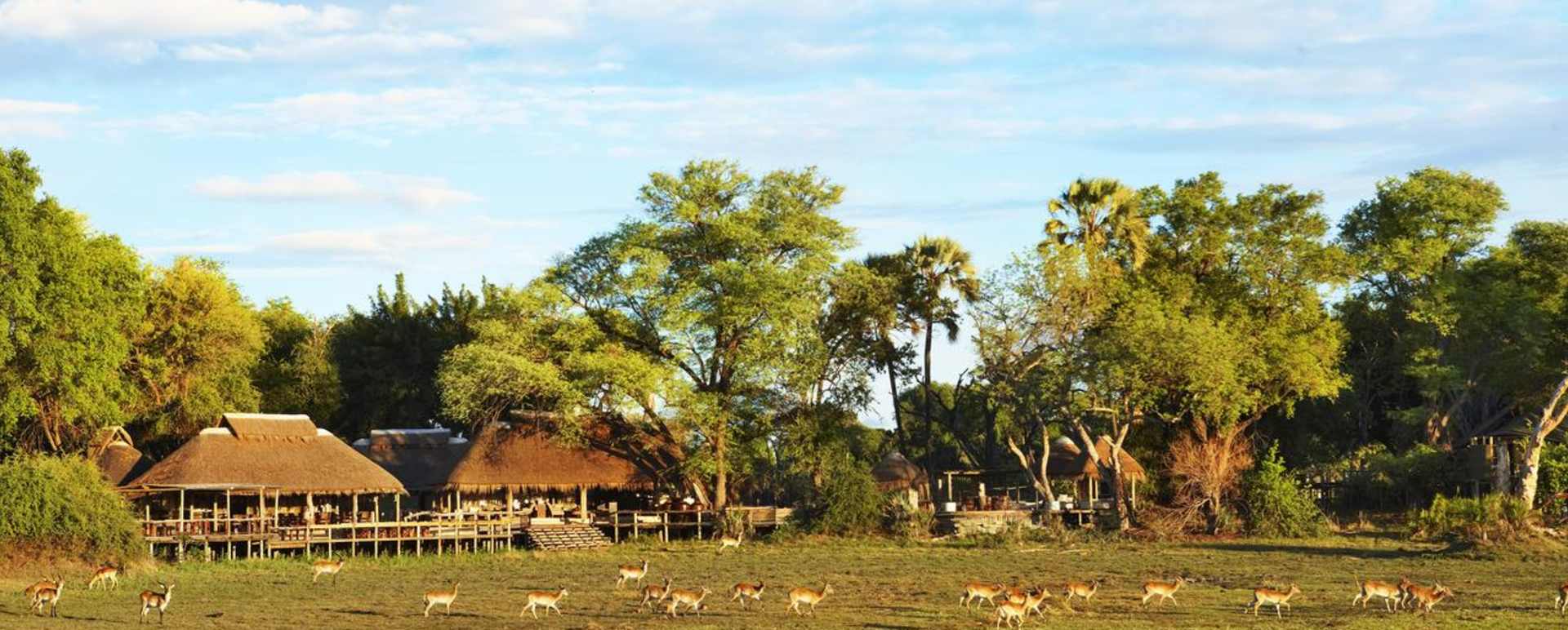 Mombo Camp